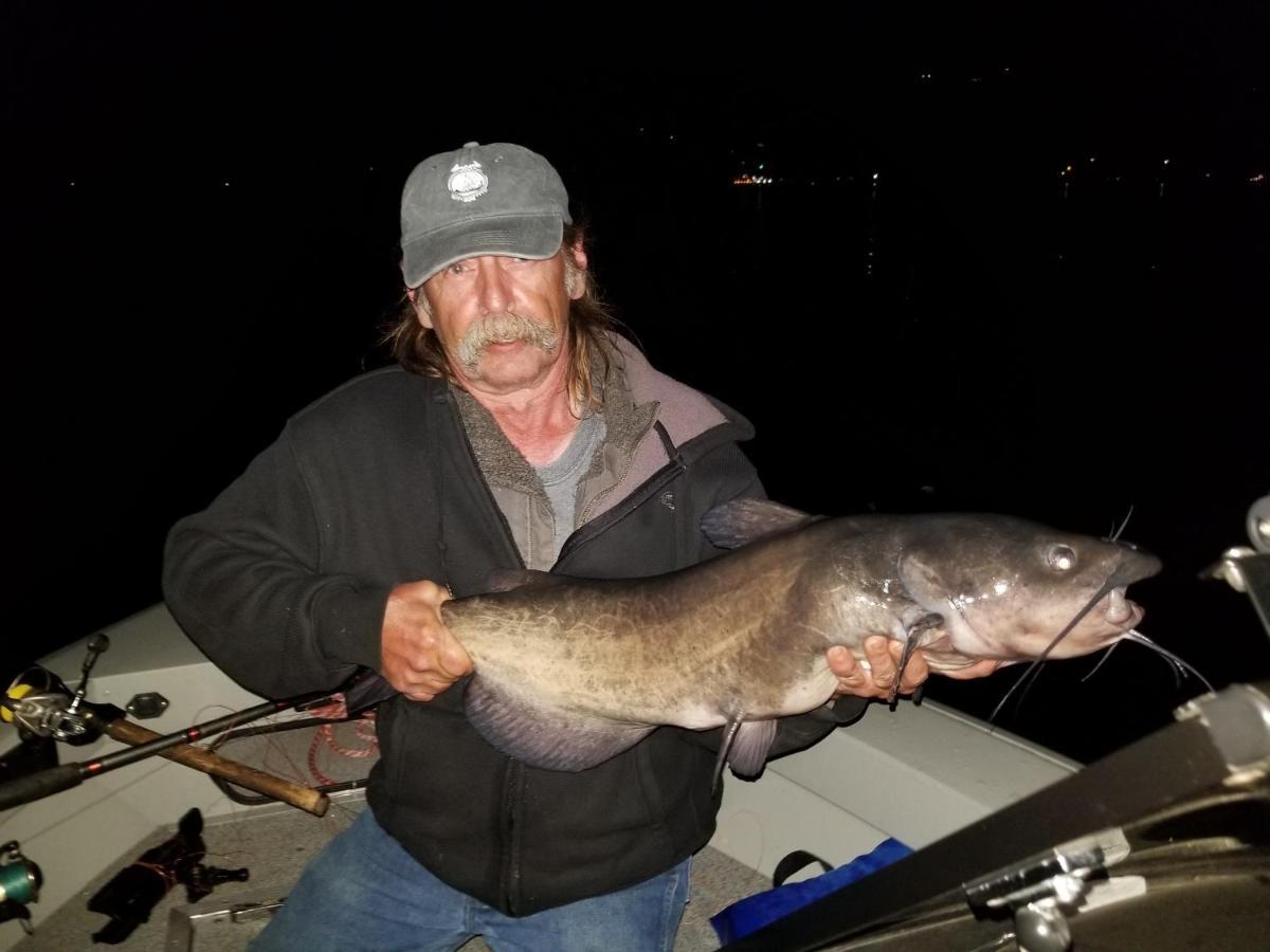 Glenhaven Omeo Clearlake Oaks מראה חיצוני תמונה