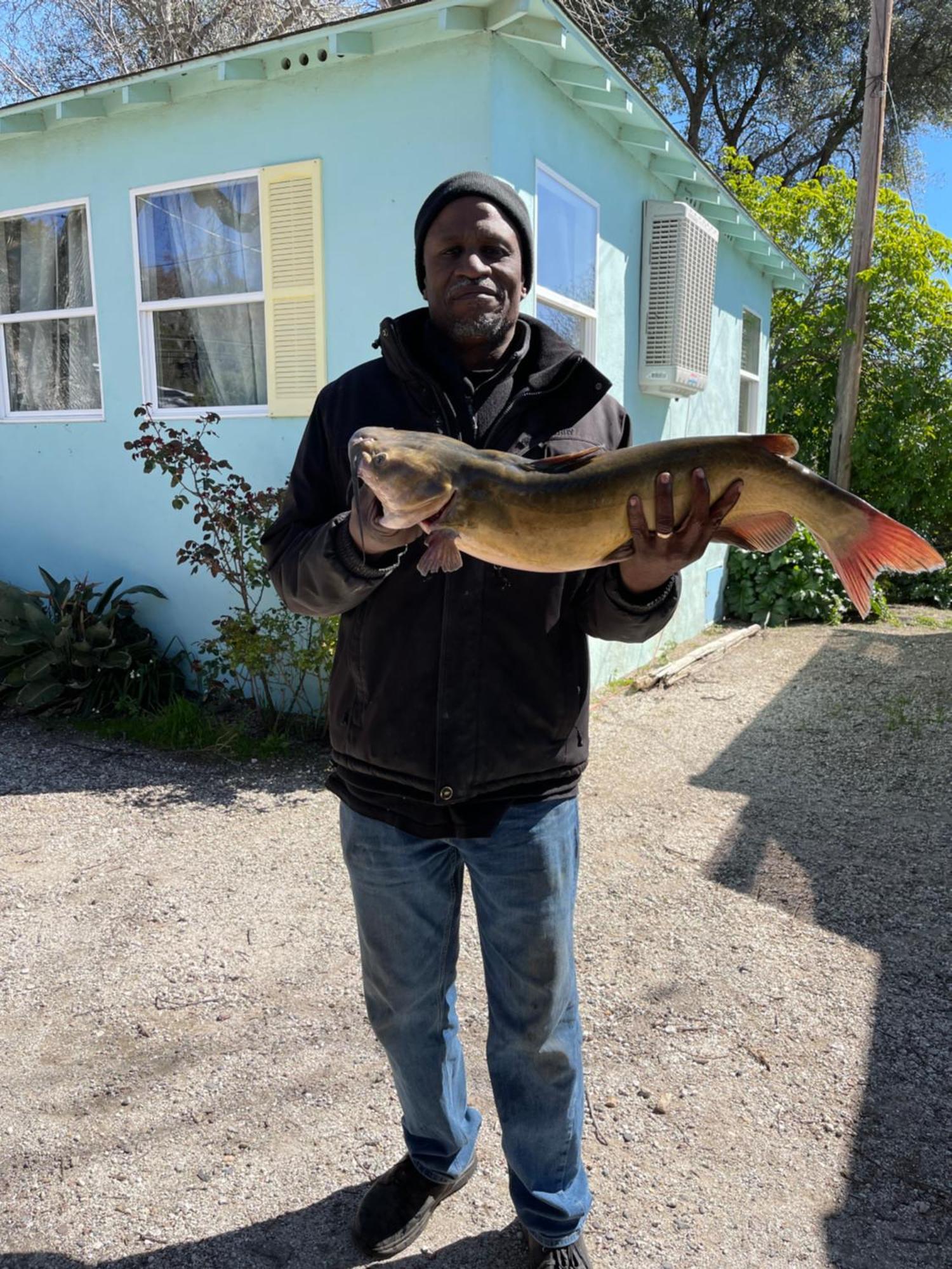 Glenhaven Omeo Clearlake Oaks מראה חיצוני תמונה