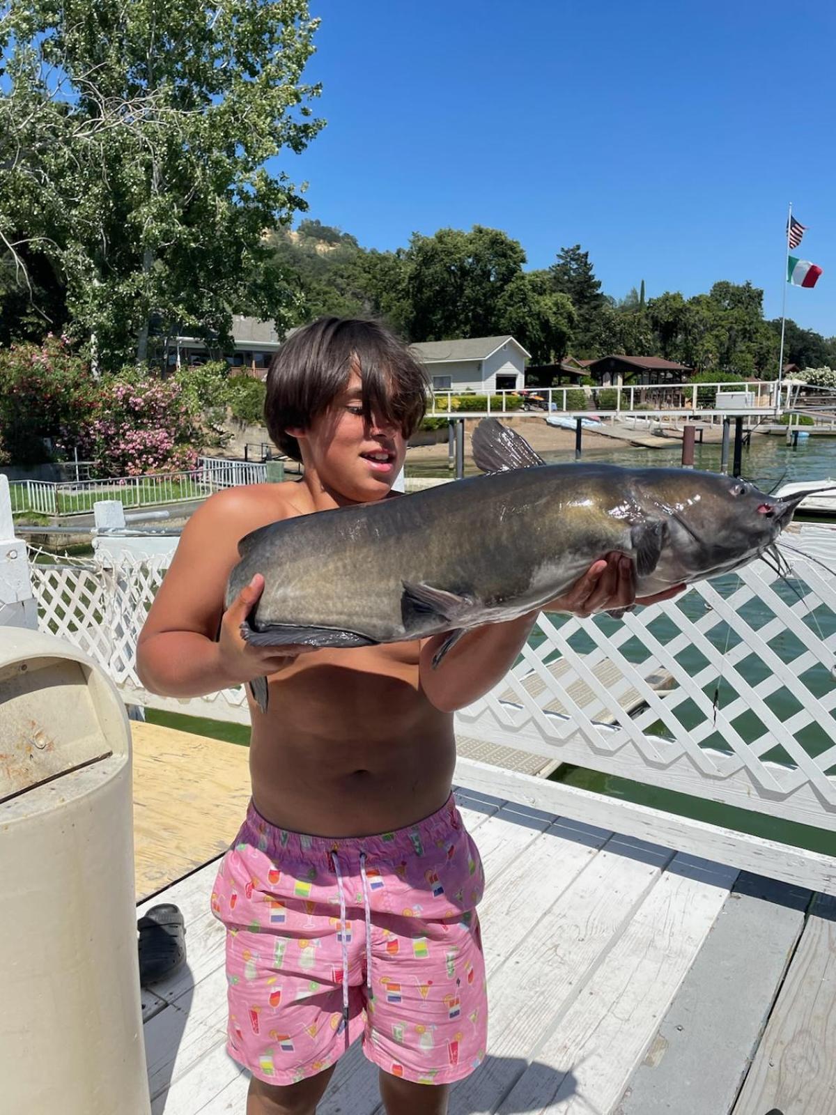 Glenhaven Omeo Clearlake Oaks מראה חיצוני תמונה